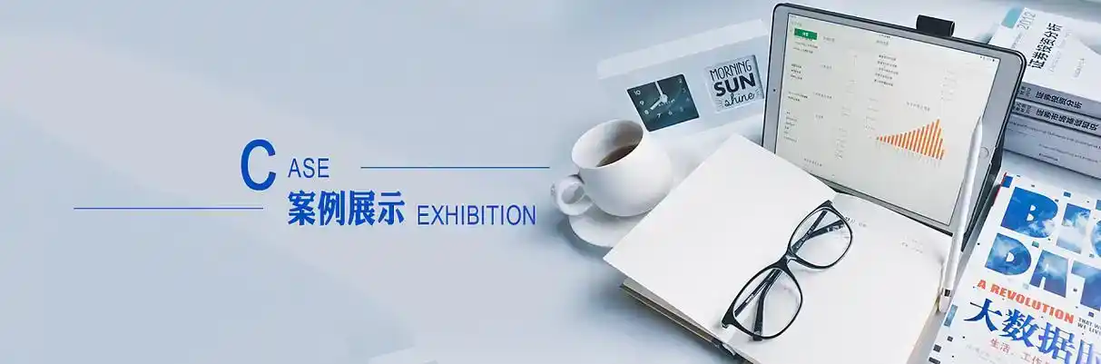 界首市软件开发